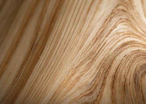 Ash wood texture