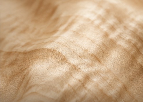 Maple wood texture