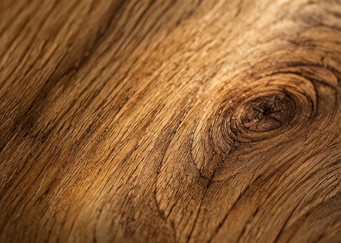 Oak wood texture